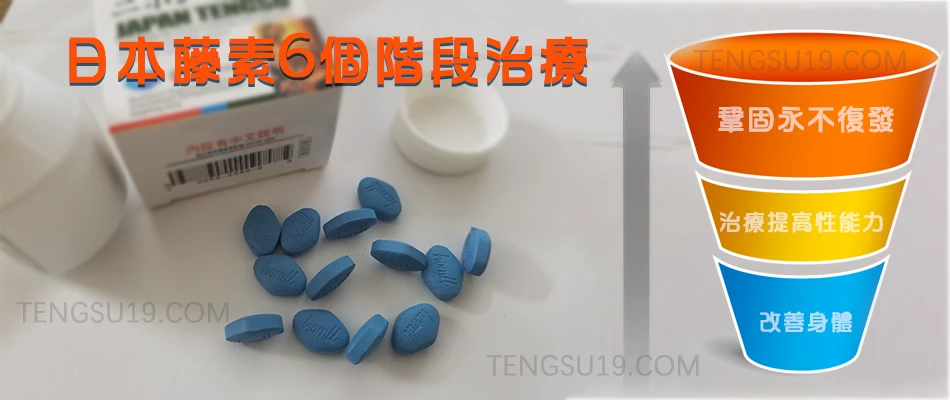 日本藤素保養